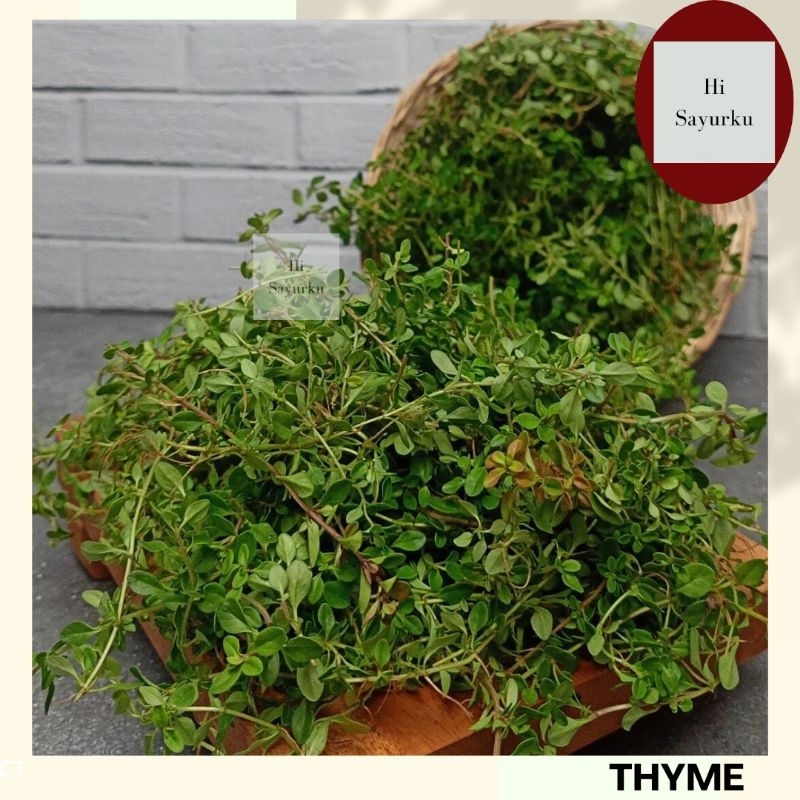 THYME PACK SEGAR 50 GR