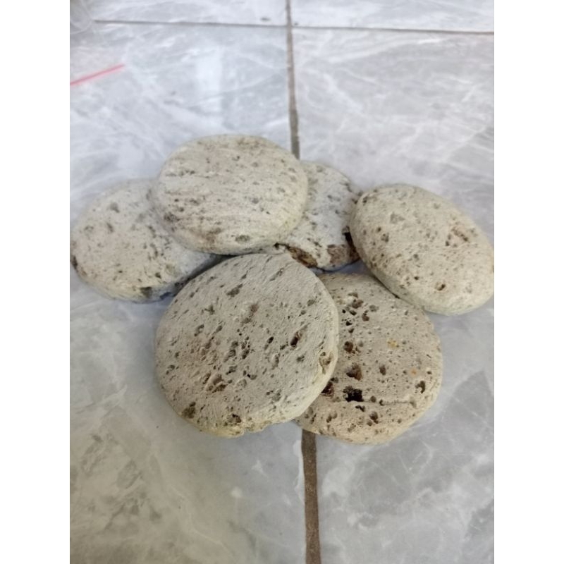 batu tangkringan (asli batu apung) branjangan