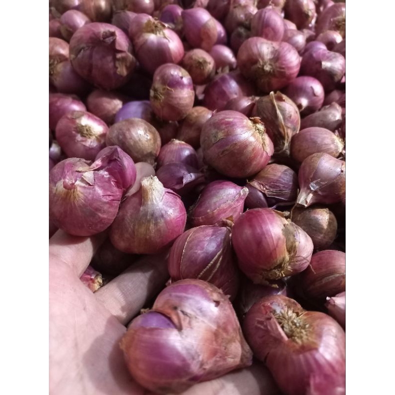 

Brambangmerah