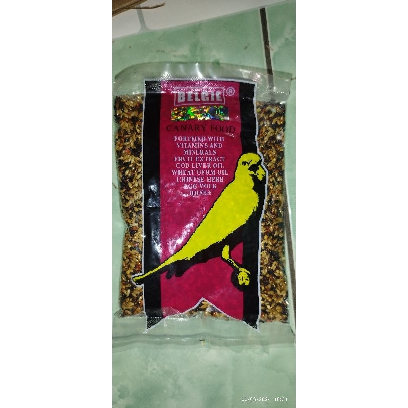 PAKAN KENARI BELGIE KENARI PAKAN KENARI GACOR