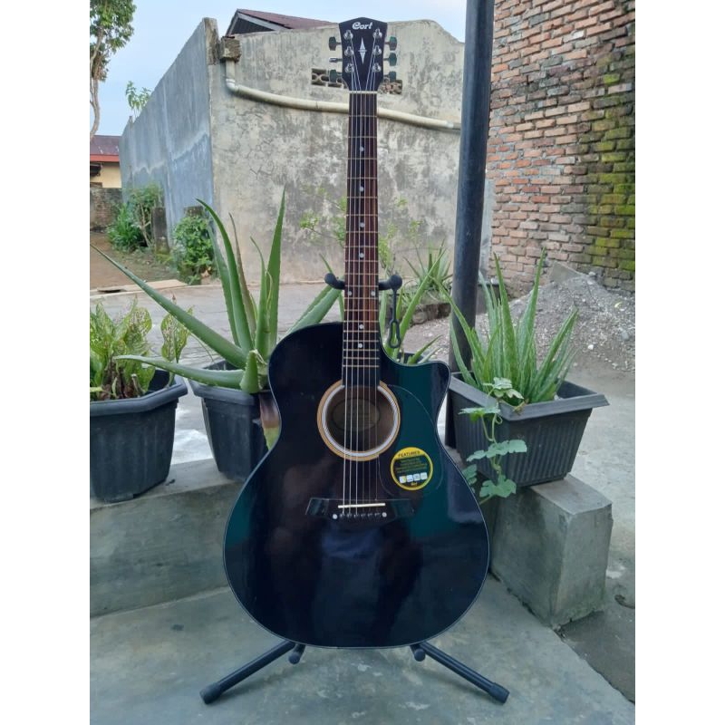 gitar cort akustik jumbo