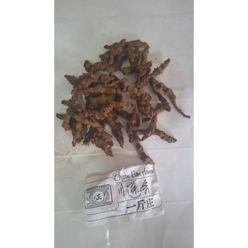 

300 G GR GRAM 黄莲条 HUANG LIAN TIAO COPTIS RHIZOMA RHIZOME COPTIDIS