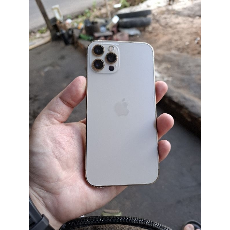 Iphone 12 Pro 256gb Wifi Only