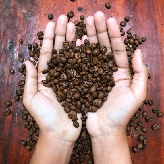 

Biji Kopi Lanang - Kopi Pulosari Cap Tugu Juang