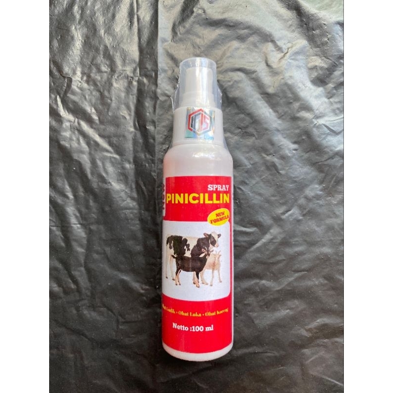 PINICILIN OBAT KORENG SPRAY AMPUH