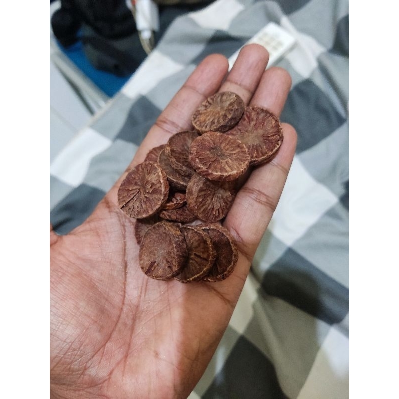 

pinang oval koin kualitas terbaik