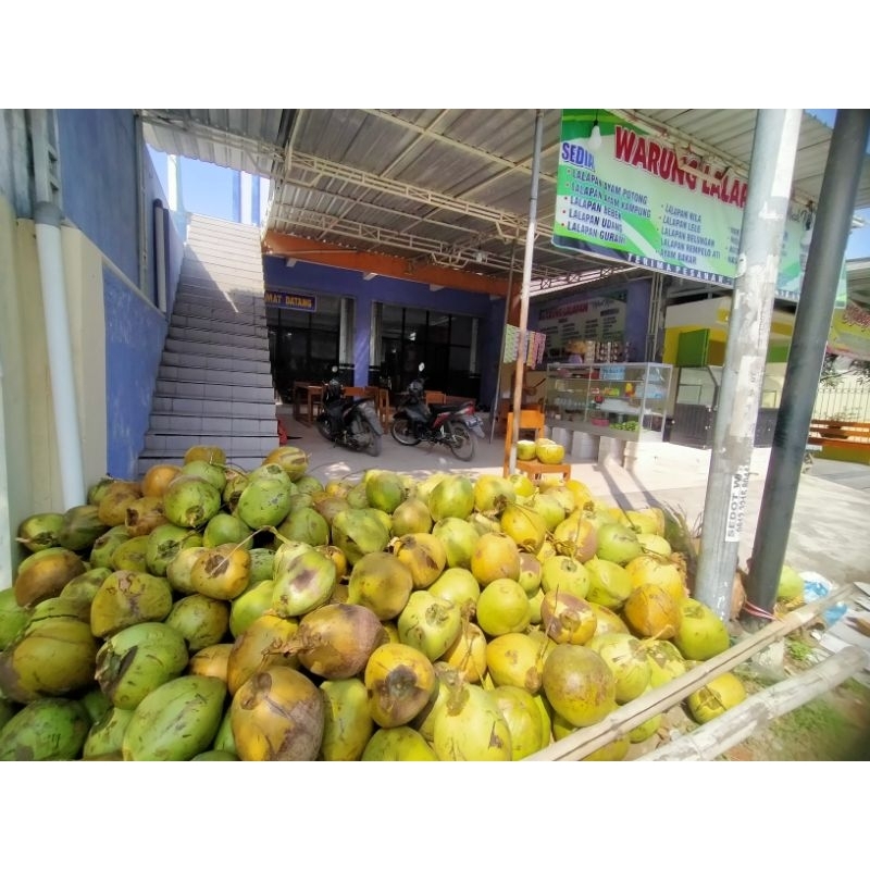 

Degan ijo