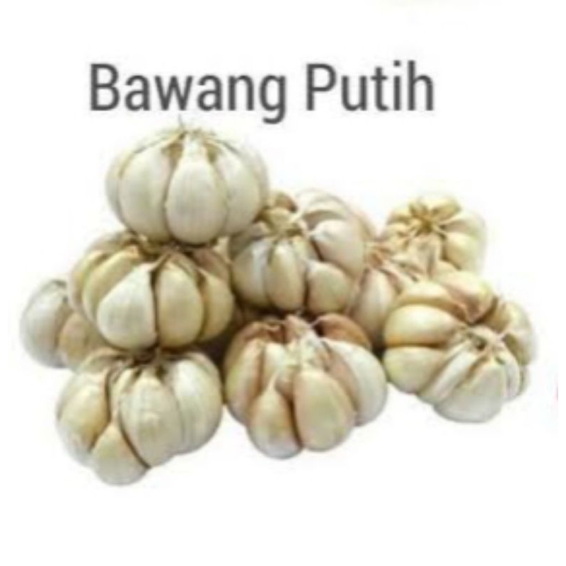 

bawang putih 1kg