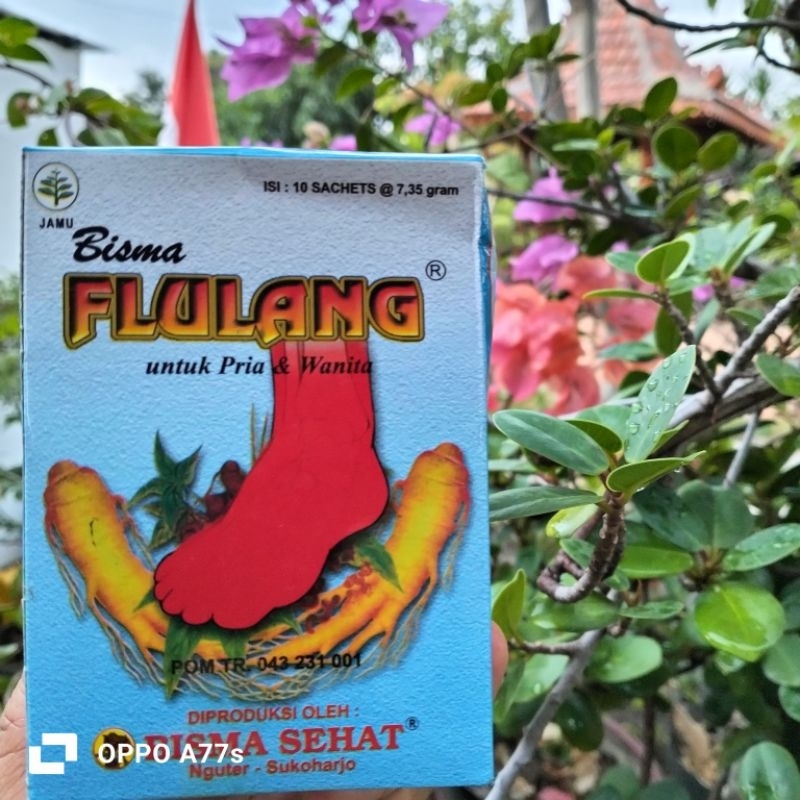 

jamu flulang bisma asam urat pegel linu isi 10 sachet