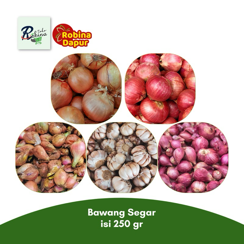 

Bawang Merah Putih Sumenep Bombay Batu 250 gr