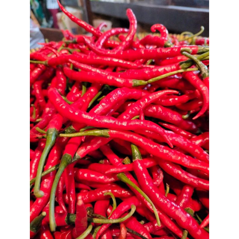 

cabai keriting merah xtk super pk sr 500gram