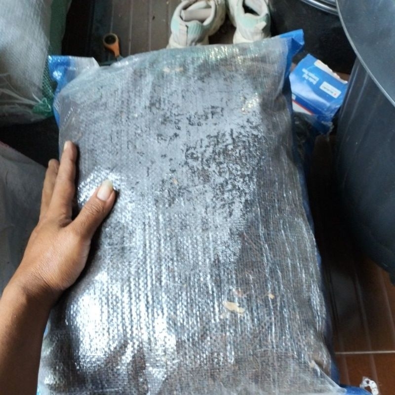 akar pakis dua karung (co 10kg)