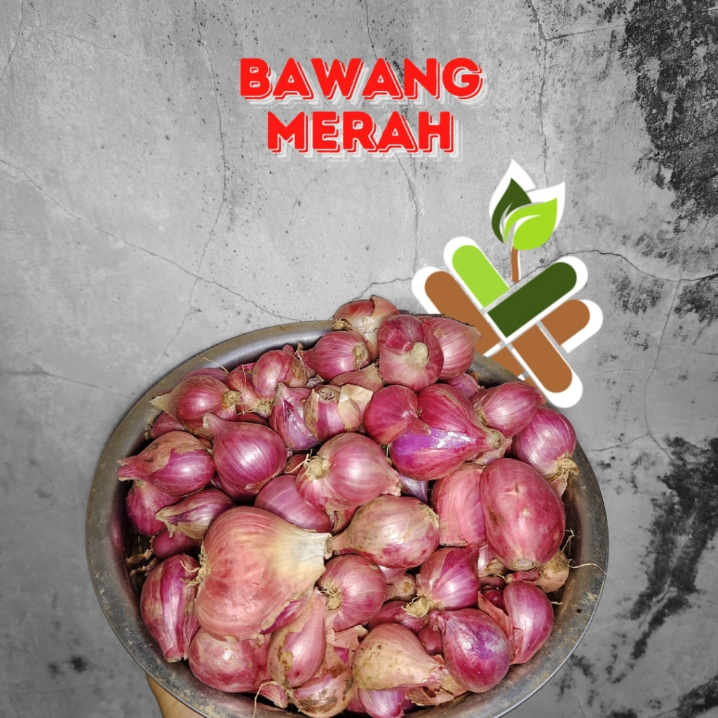 

BAWANG MERAH SEGAR