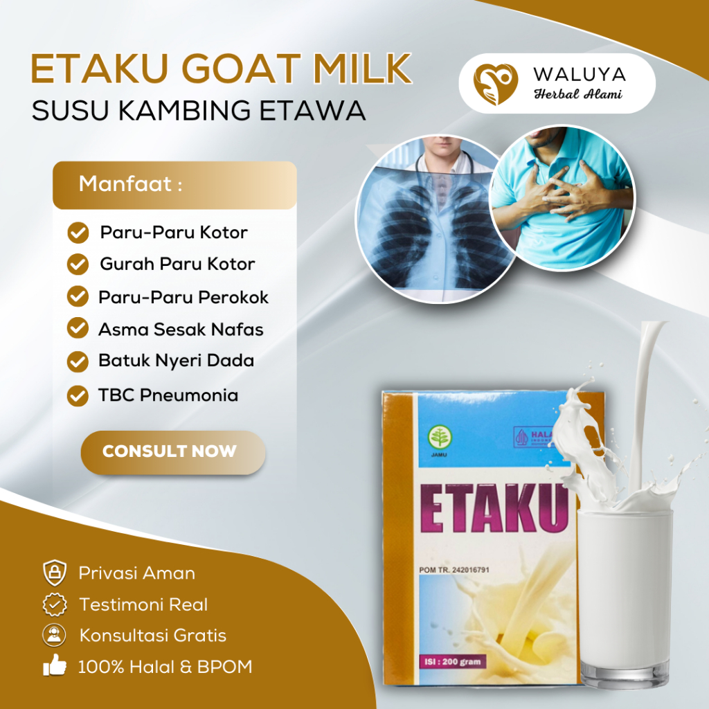 

Susu Pembersih Paru-Paru Kotor Asma Sesak Napas TBC Pneumonia Batuk Menahun Perokok Berat - Etaku Kambing Etawa Asli