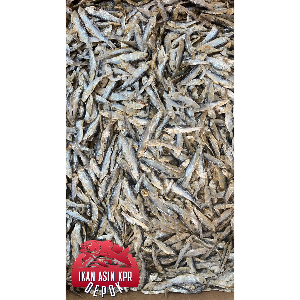 

IKAN ASIN LEMET/TEMBANG HALUS 100 gr - 500 gr/ 10.000