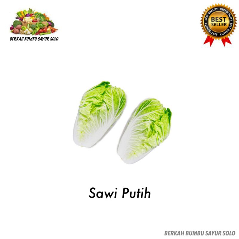 

Sawi Putih