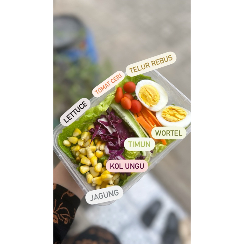 

SALAD SAYUR | SALAD TANGERANG