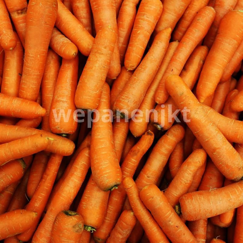 

Wortel Brastagi Fresh Brastagi Per 1kg
