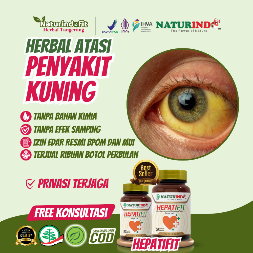 Obat Penyakit Kuning Liver Naturindo Hepatifit