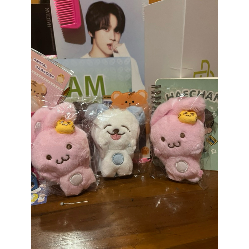 Magnet Doll Jaemin Set - Pinkki Magnetic doll