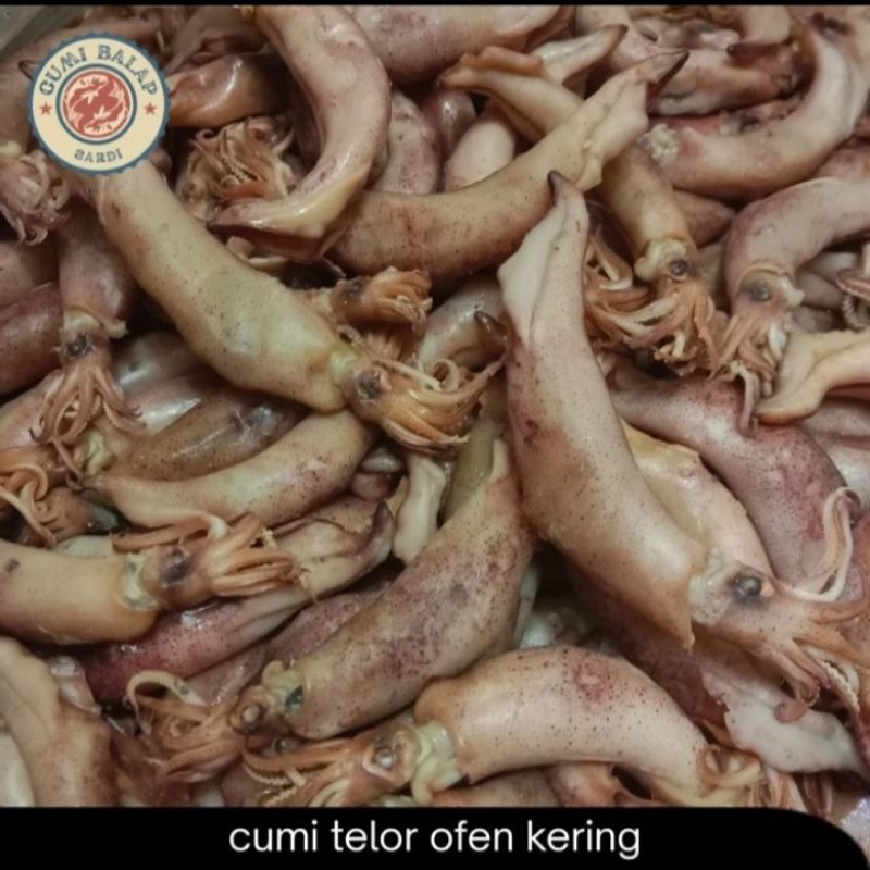 

ikan cumi sotong kering bertelor