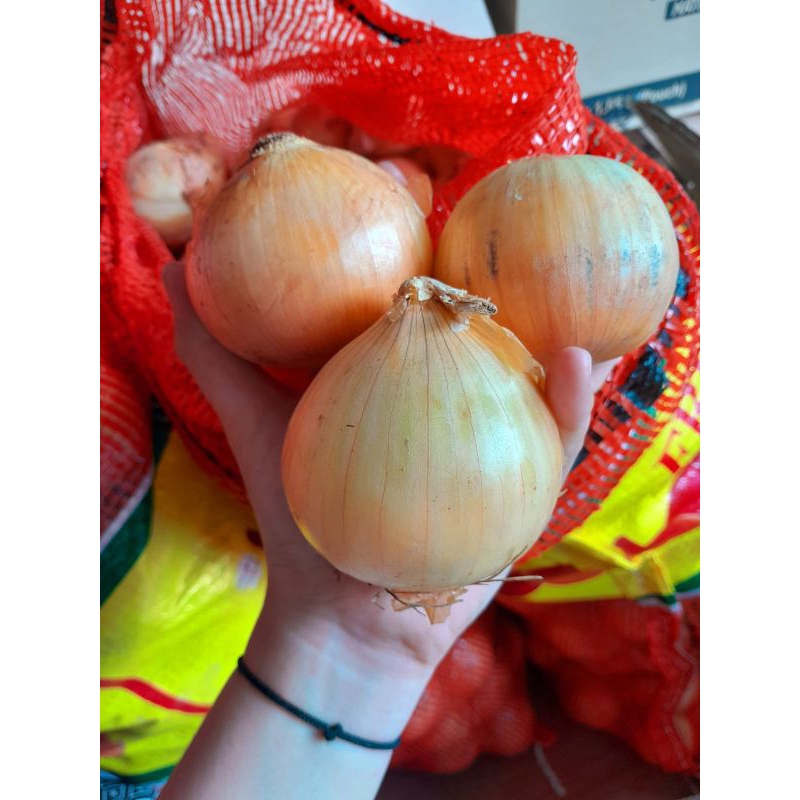 

bawang bombay fresh selalu /500gr