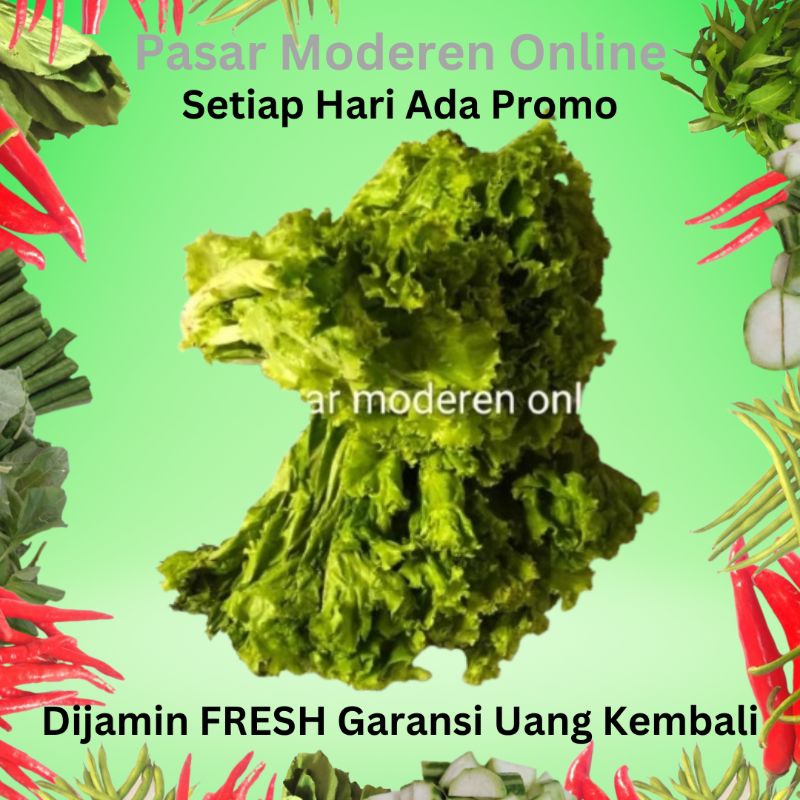 

SELADA KERITING SAYUR SEGAR 250 GRAM