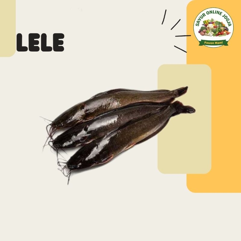 

Lele per pack - PAWON MAMI SAYUR ONLINE JOGJA