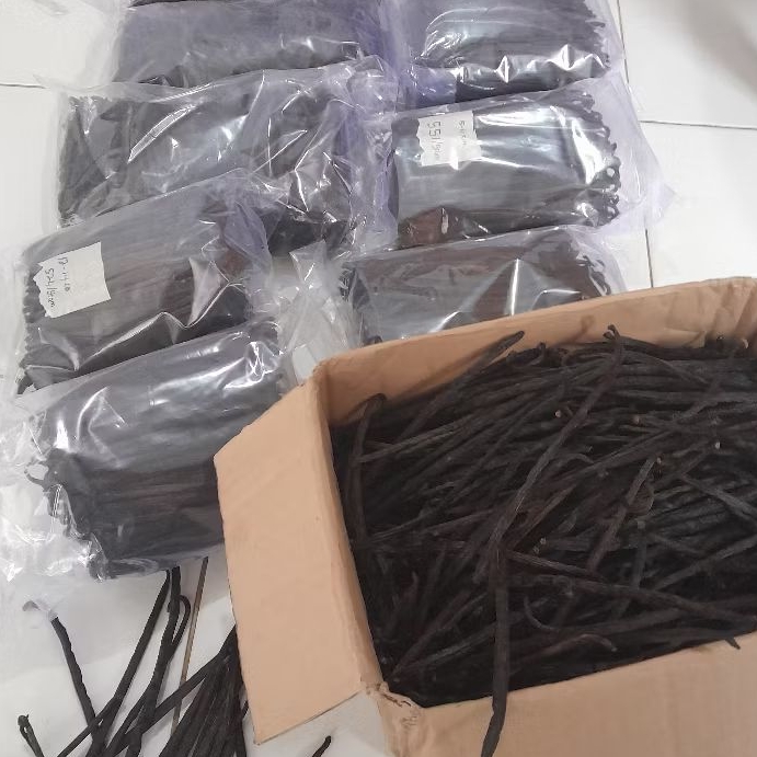 

1 kg vanilla bean all grade panen tua (pecah)