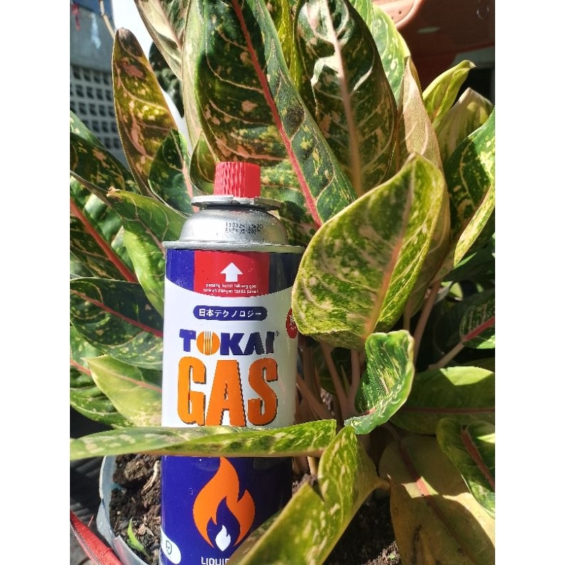 Gas portabel // Gas kaleng murah // Gas kecil // Gas outdoor // Gas camping