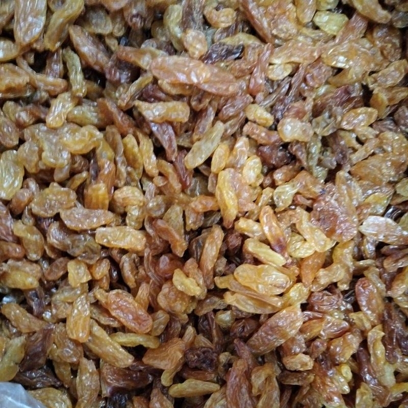 

kismis golden/golden raisin/kismis besar