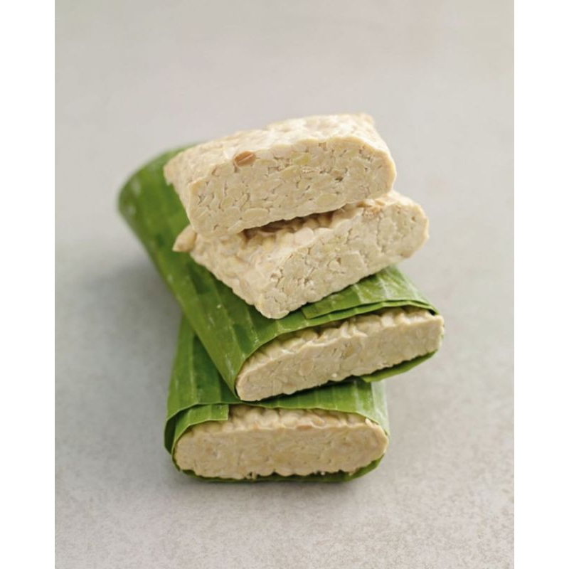 

tempe kedelai