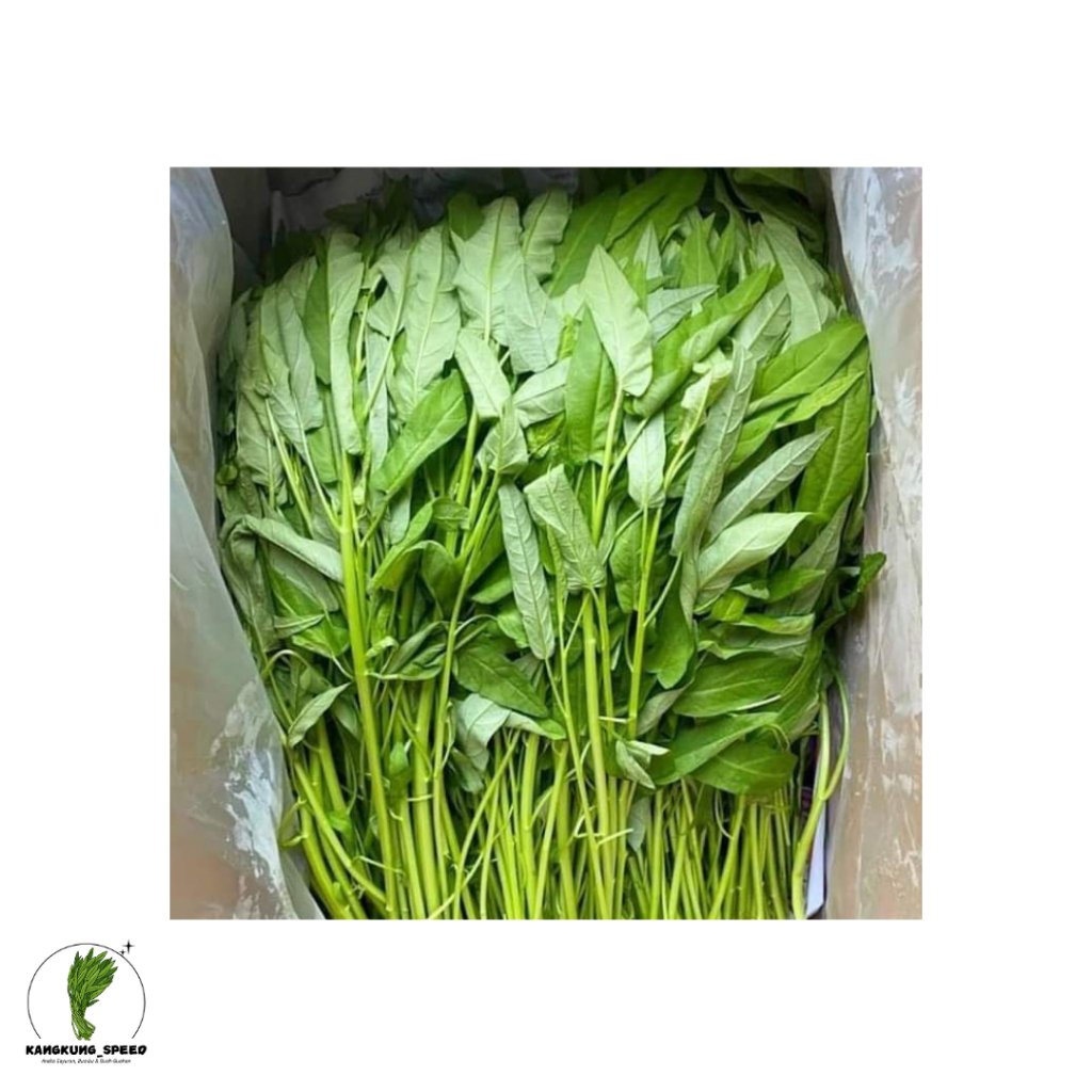 

kangkung akar/potong
