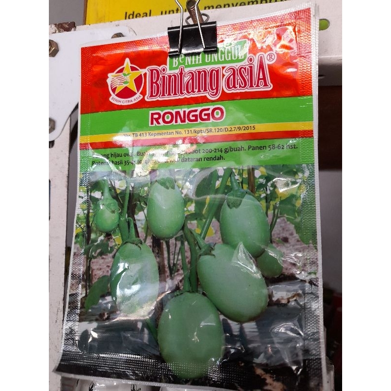 

terongputih/terongsusu/terongovalhijau
