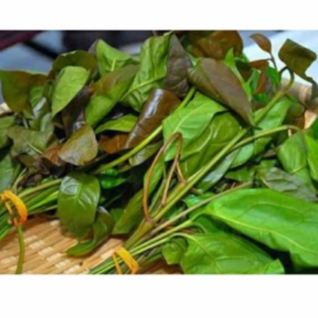 

SAYUR ( DAUN SO / DAUN MELINJO)