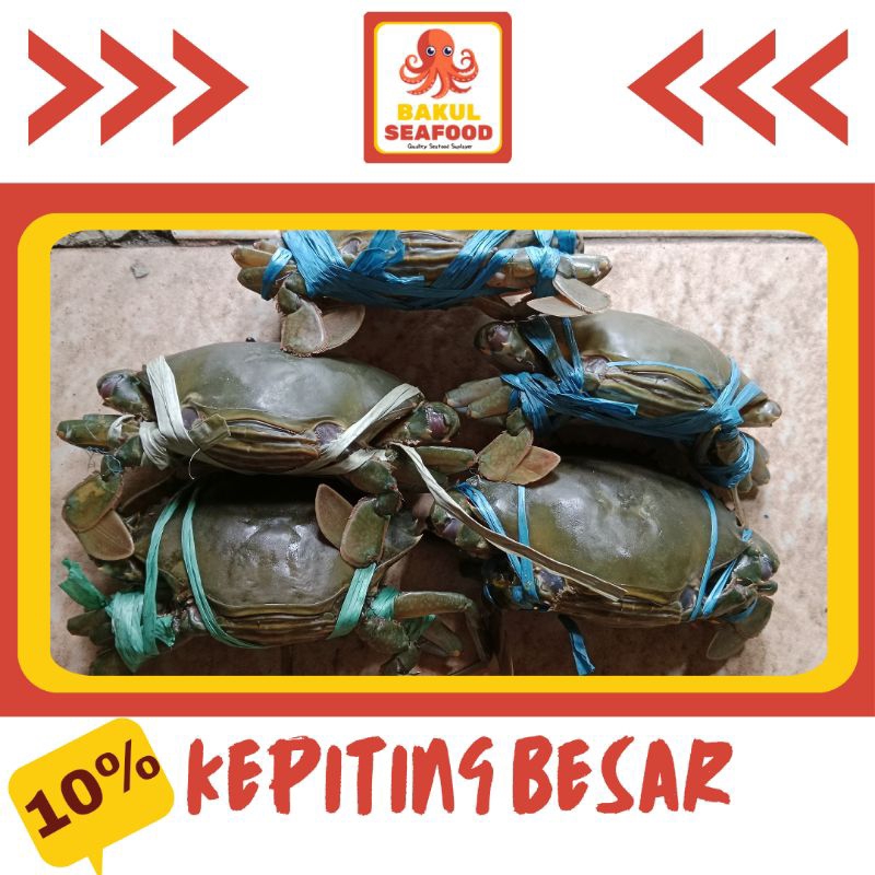 

KEPITING BESAR 500GR-1000GR