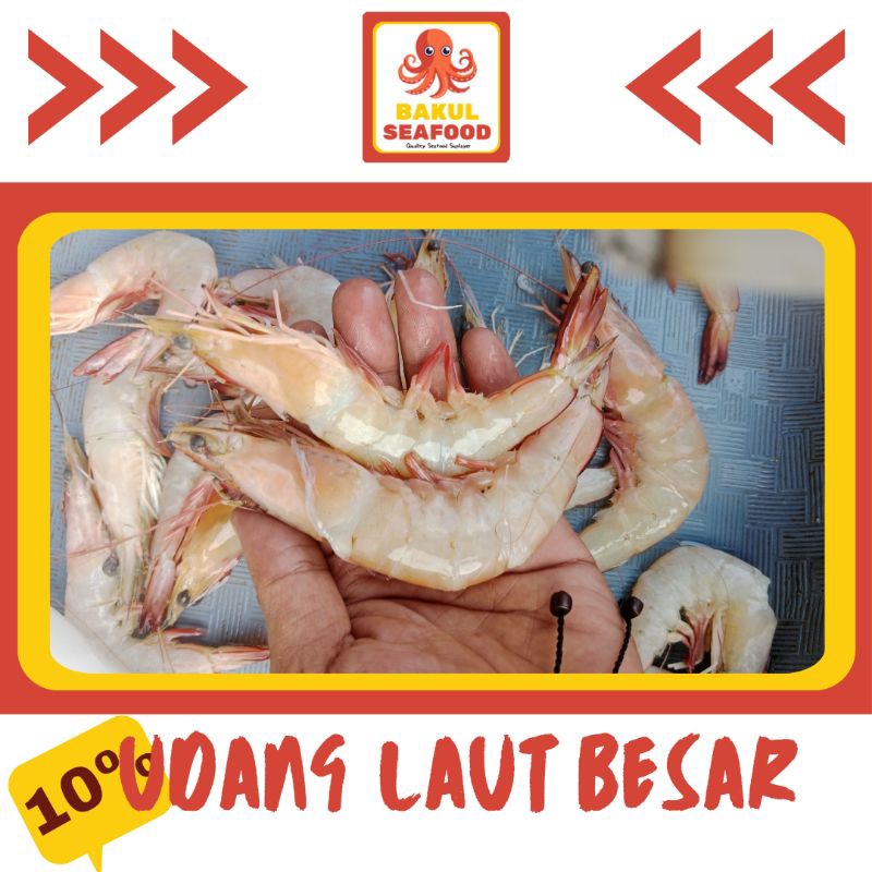 

UDANG LAUT BESAR 500GR-1000GR
