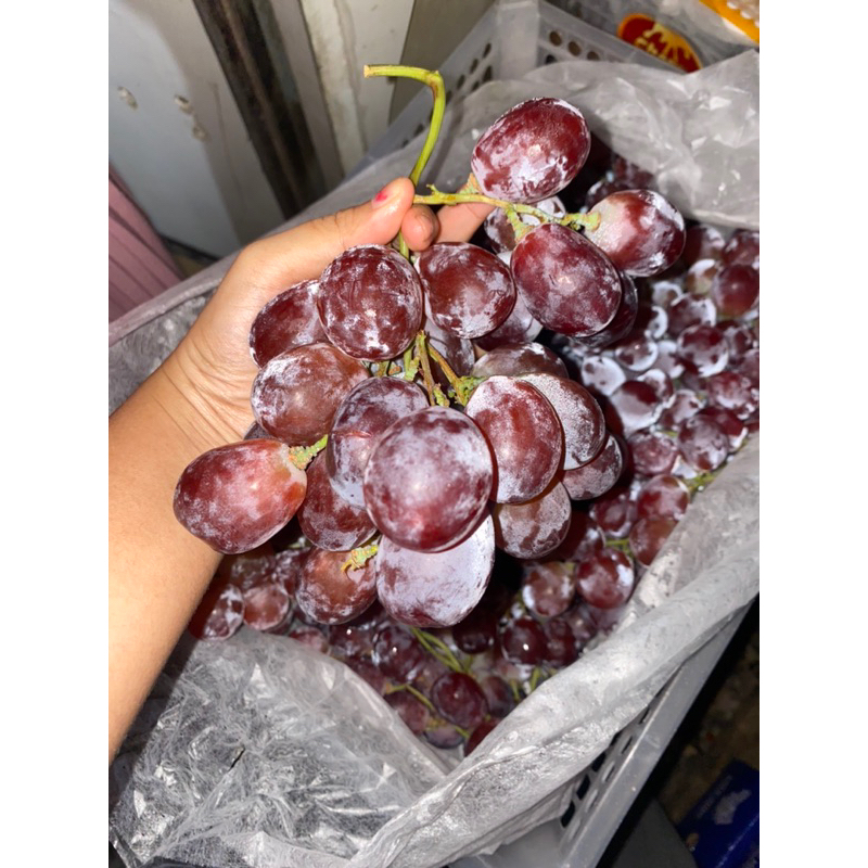 

Anggur red globe kemasan 1kg