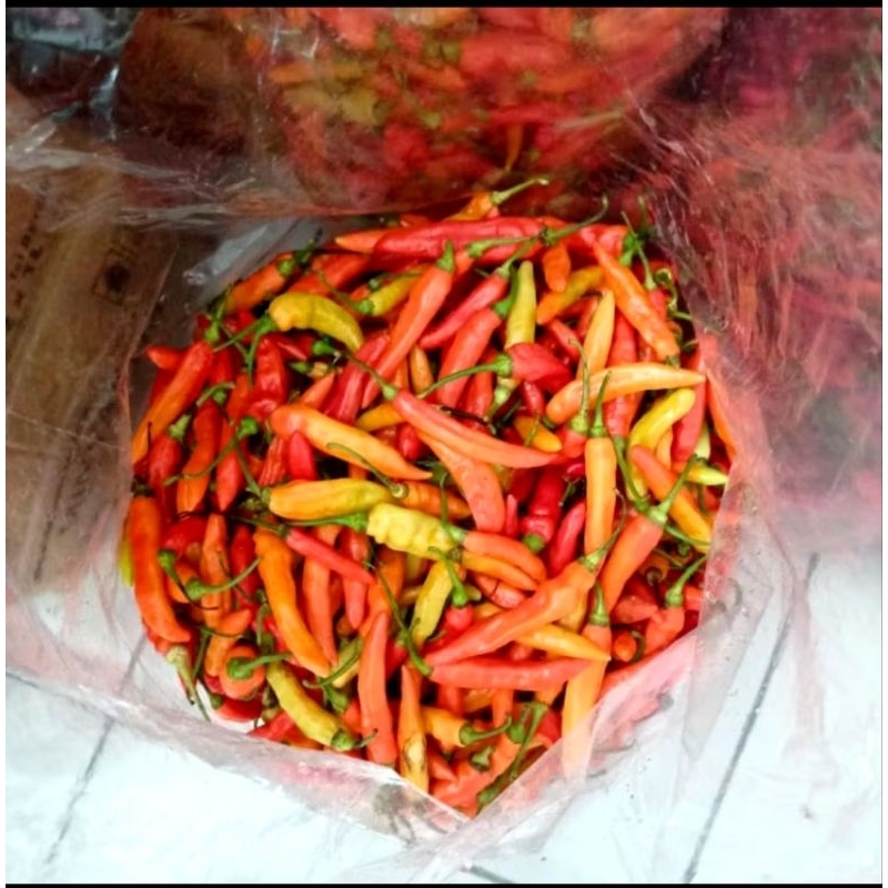 

CABAI RAWIT MERAH / SETAN 500gr