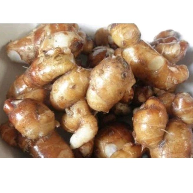 

Kencur 500 gram 1000 gram