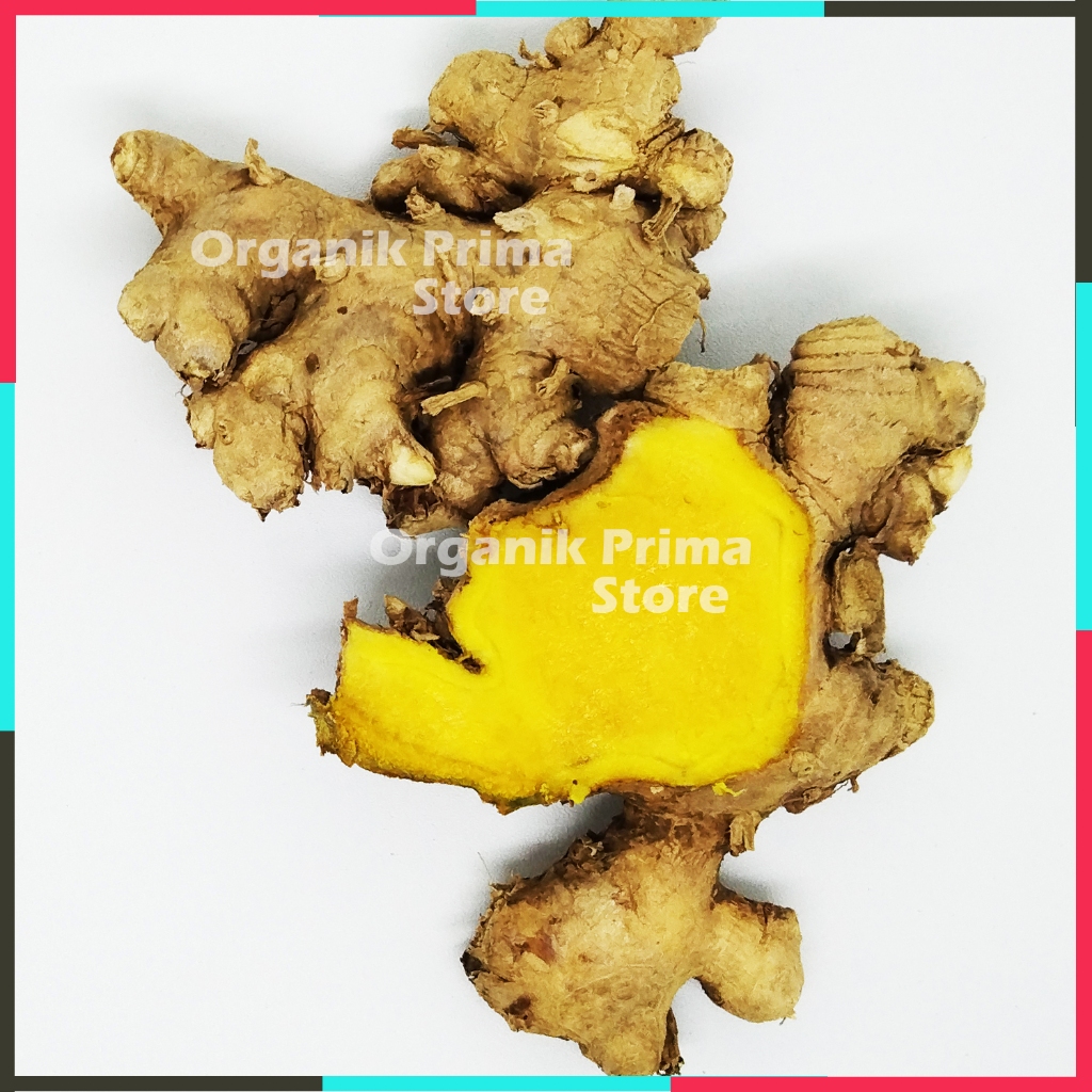 

Bengle Segar atau Panglai Organik