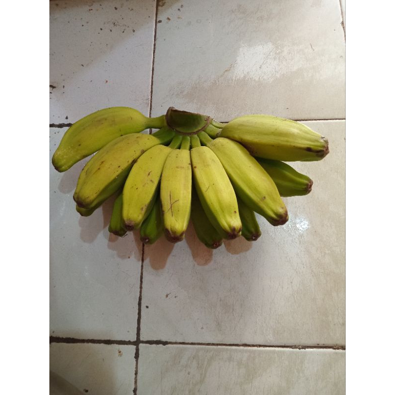 

Pisang Kepok Putih Per Sisir