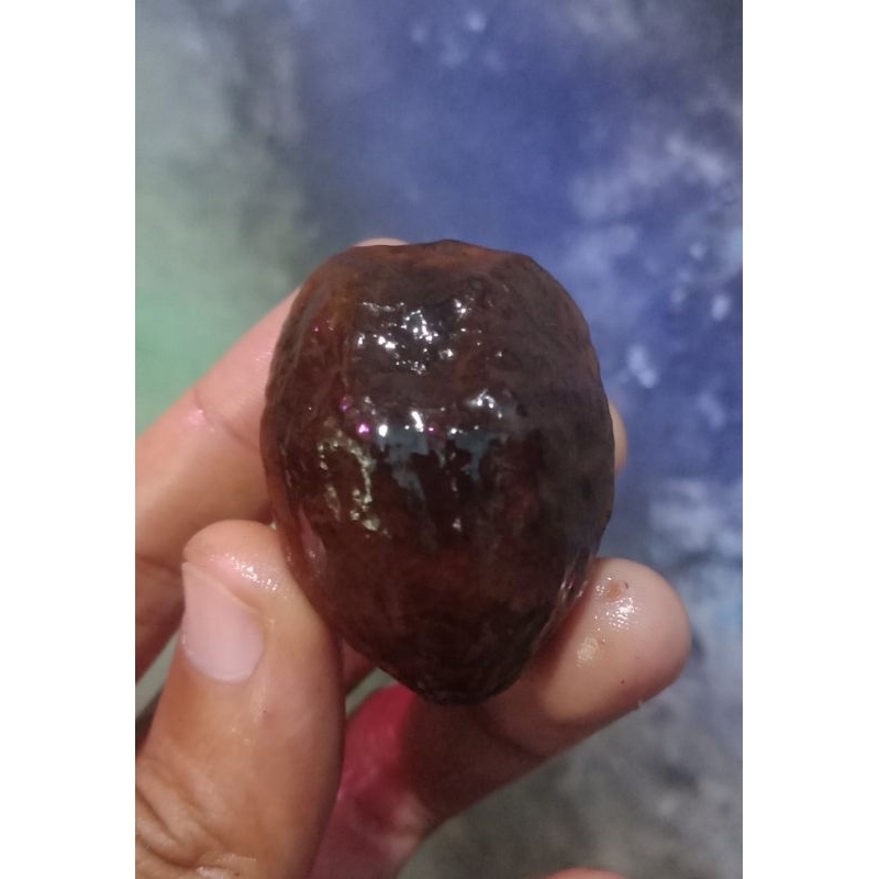 Muncang Adu Jawa X Jayanti