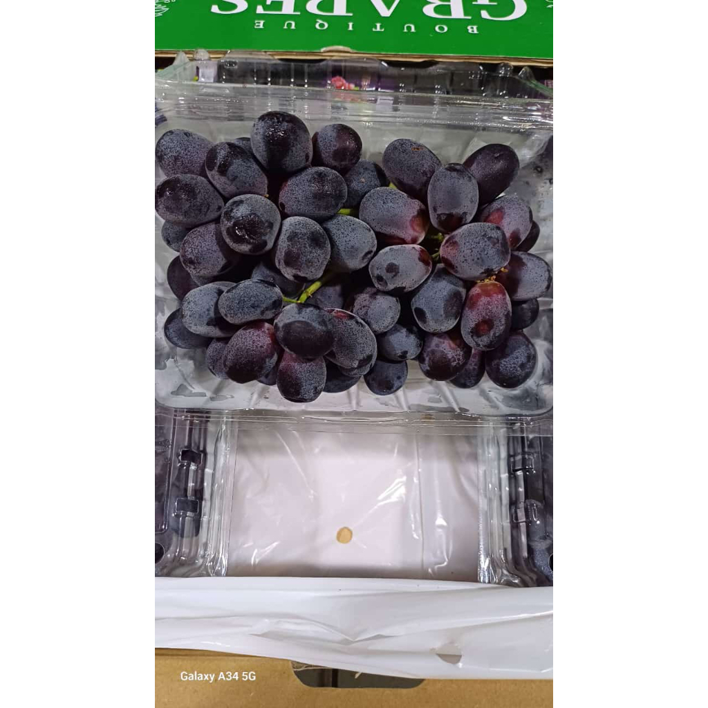 

Anggur Hitam Autumn Seedles pack