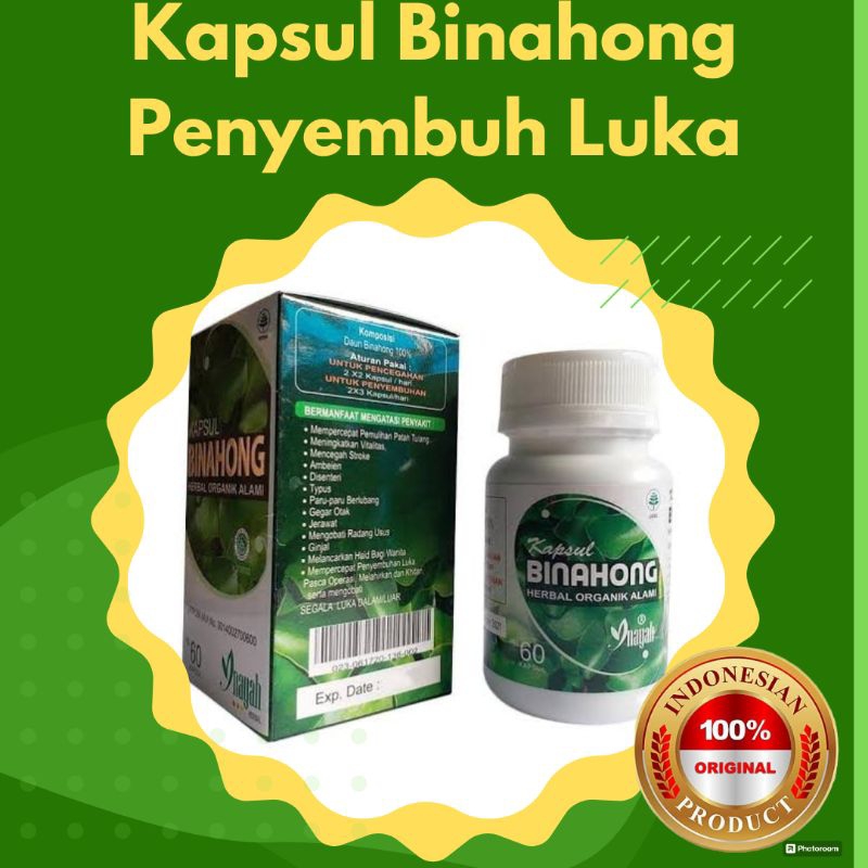 Kapsul Binahong Herbal Alami Penyembuh Luka Operasi