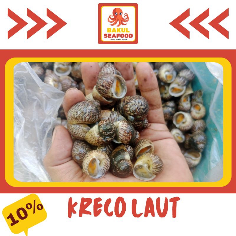 

KRECO LAUT 500GR - 1000GR