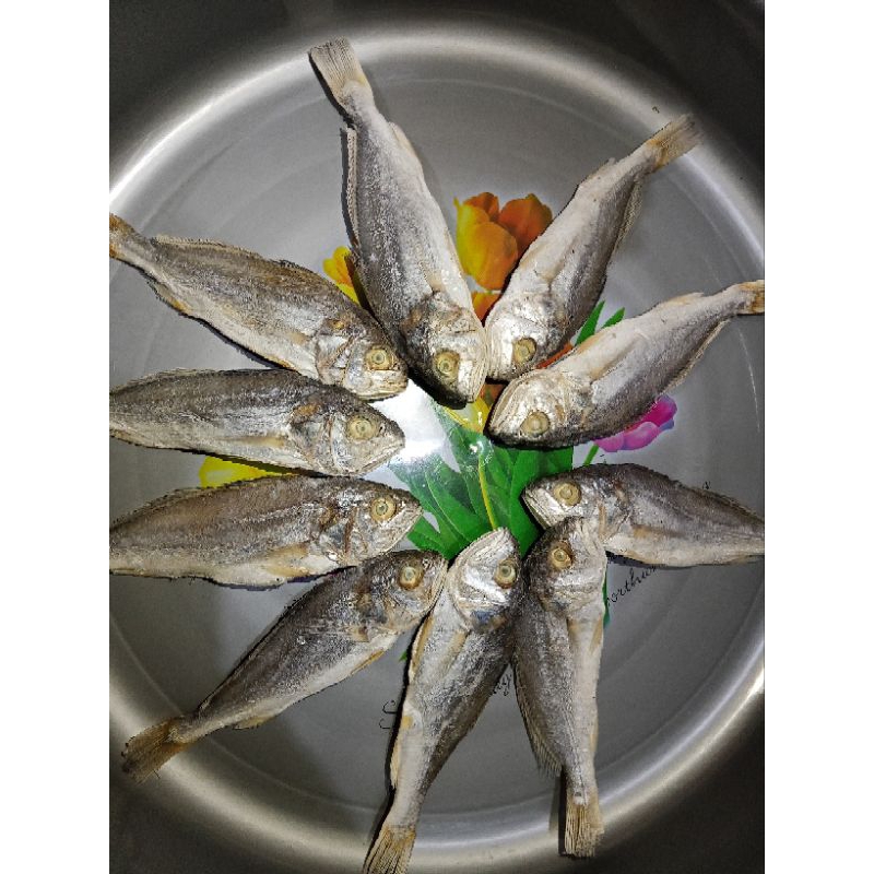 

Ikan Kepala batu bulat kemasan 250 gr - 1 kg