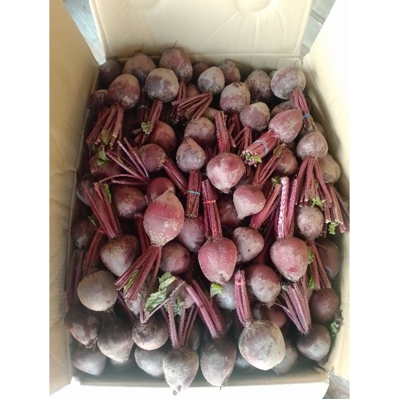 

buah bit beetroot segar, Link khusus pesanan 50kg harga plus admin 11%