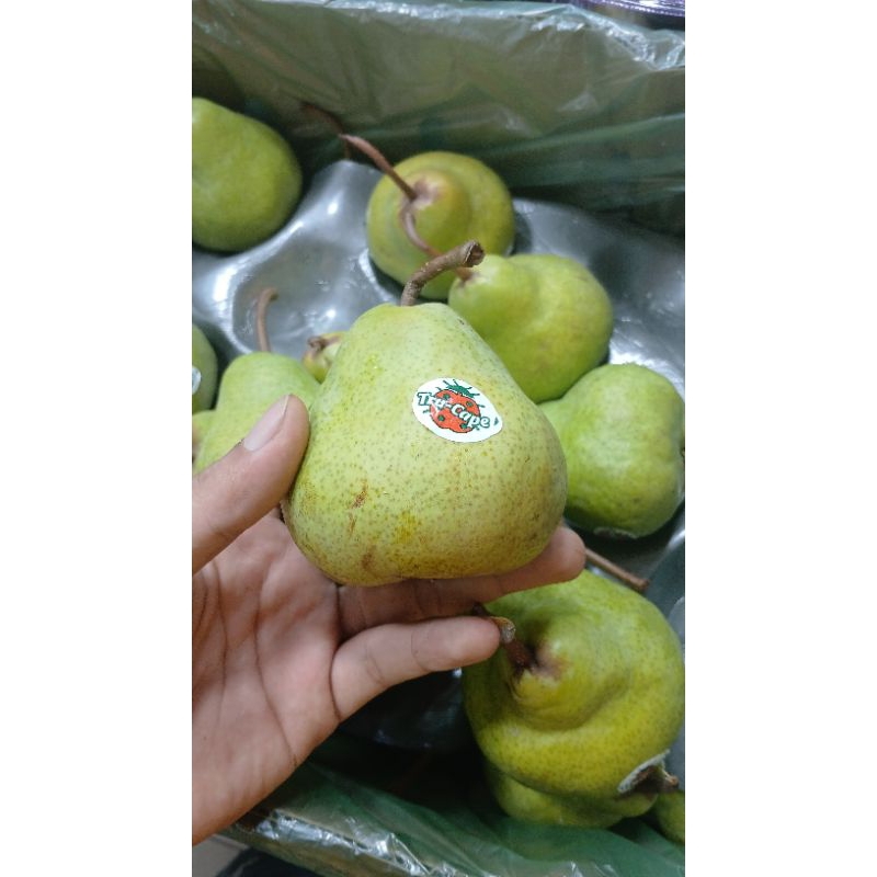 

buah PaKM BESAR2 pak Sr 500gram