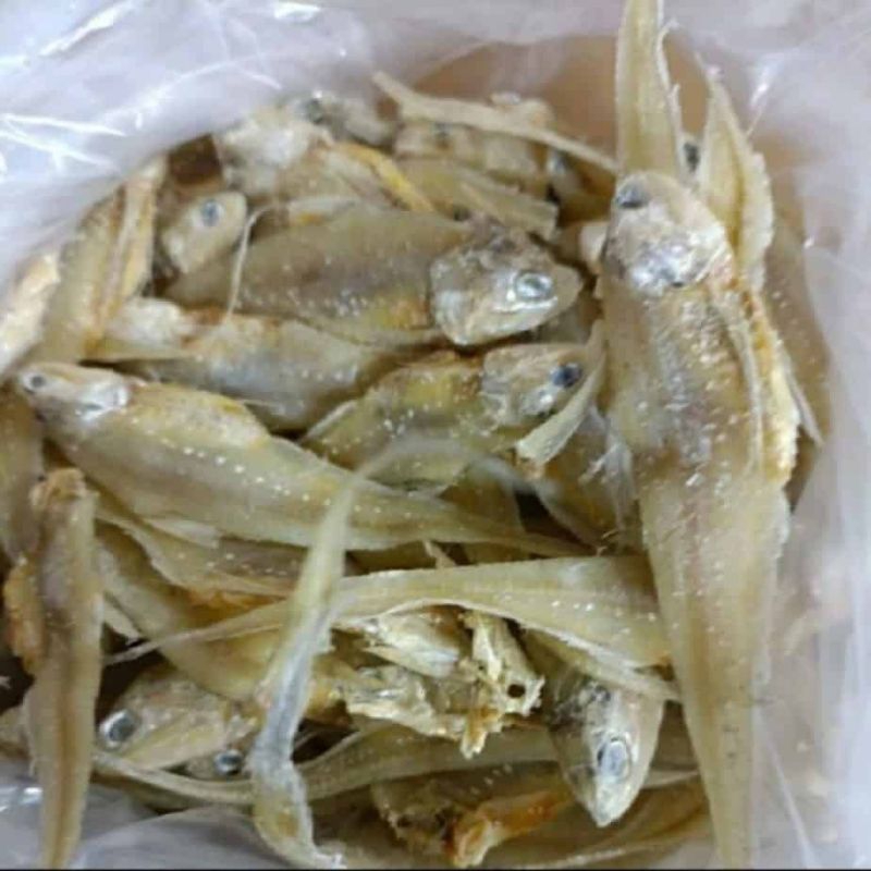 

ikan asin bulu ayam